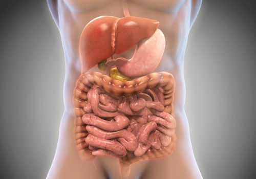 Understanding Gut Health and Vitamin D Absorption